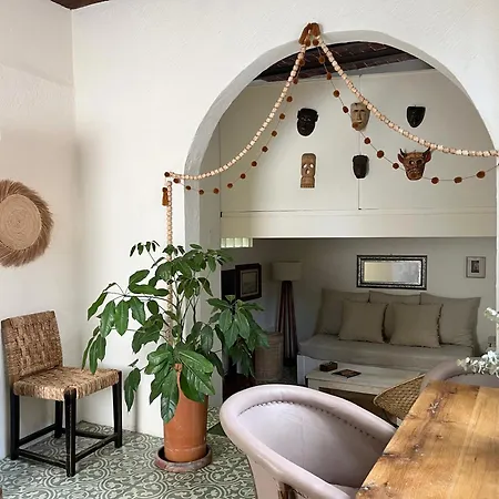 Artisanal Loft Coyoacan