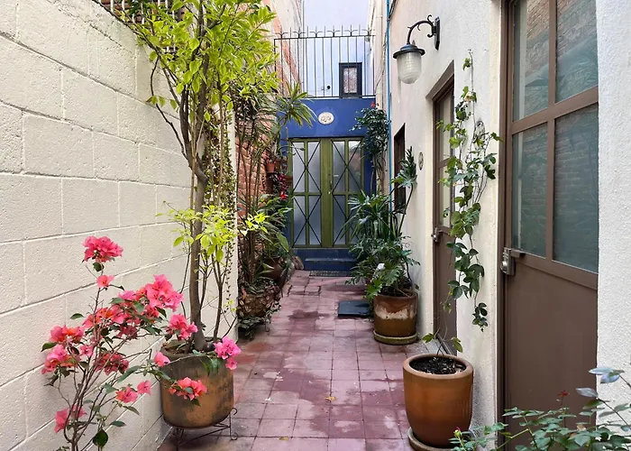 Artisanal Loft Coyoacan Mexico