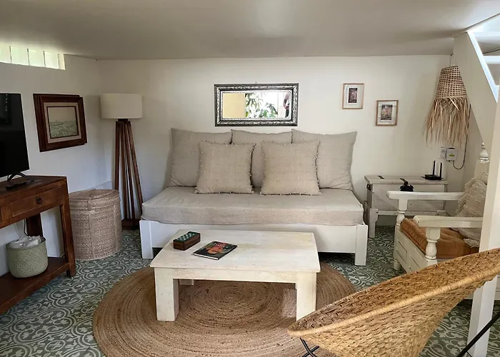 Artisanal Loft Coyoacan *