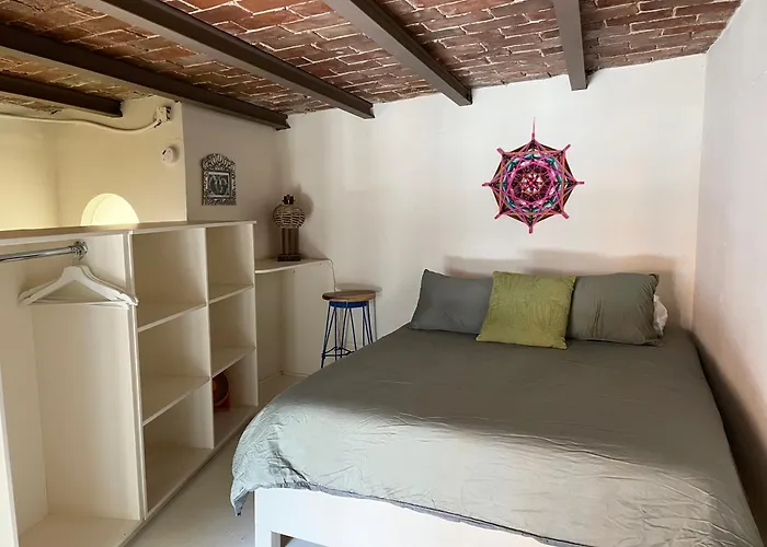 Artisanal Loft Coyoacan Appartement