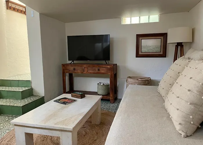 Artisanal Loft Coyoacan *