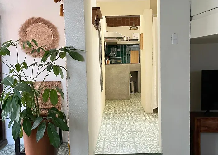 Appartement Artisanal Loft Coyoacan